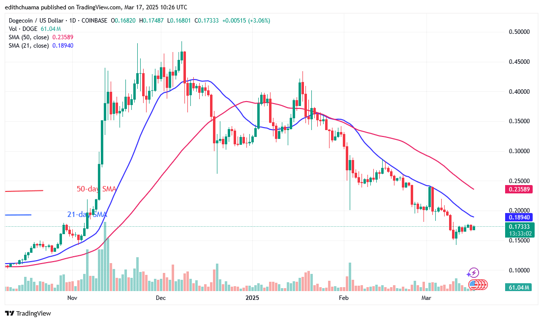 DOGE Stalls Above $0.14 as It Continues to Drop