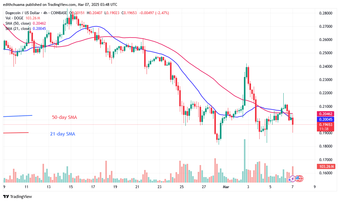 DOGE Slides as It Targets the $0.048 Low