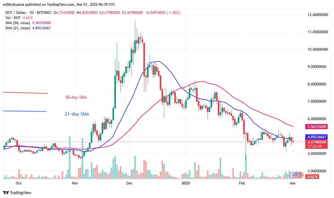 Polkadot Stabilizes Above .00 as It Hits the Oversold Region