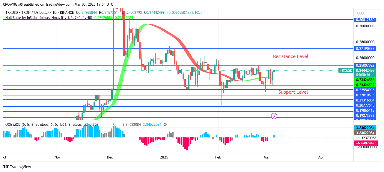 TRON Price Is Dangling Within $0.25 and $0.22 Zones