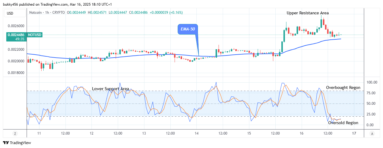 Notcoin (NOTUSD) Reaches the Time to Grow Again