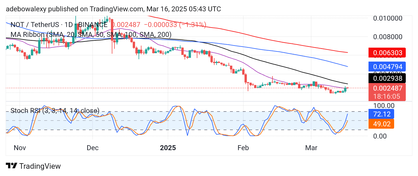 Trending Coins for March 16, 2025: TON, RED, NOT, A8, and JELLYJELLY