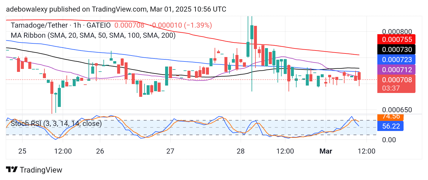 Tamadoge (TAMA) Price Outlook for March 1: Tamadoge Bulls Are Defending $0.000700