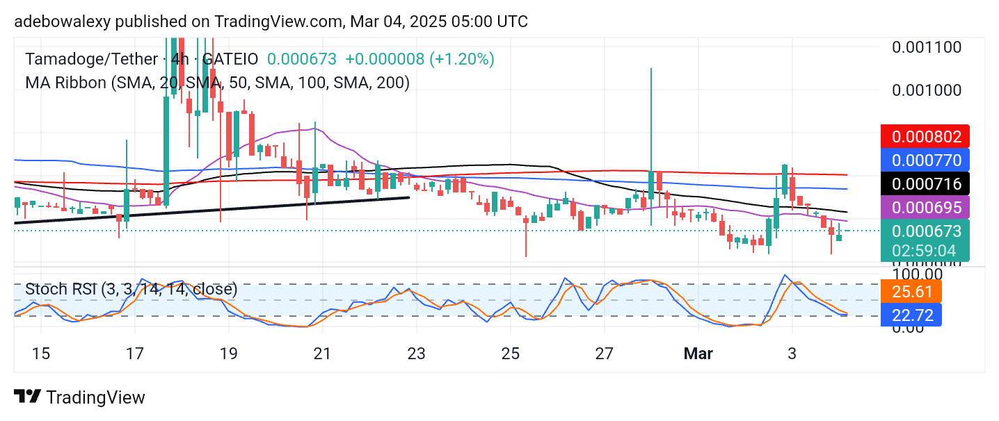 Tamadoge (TAMA) Price Outlook for March 4: Tamadoge Rebounds From a New Support