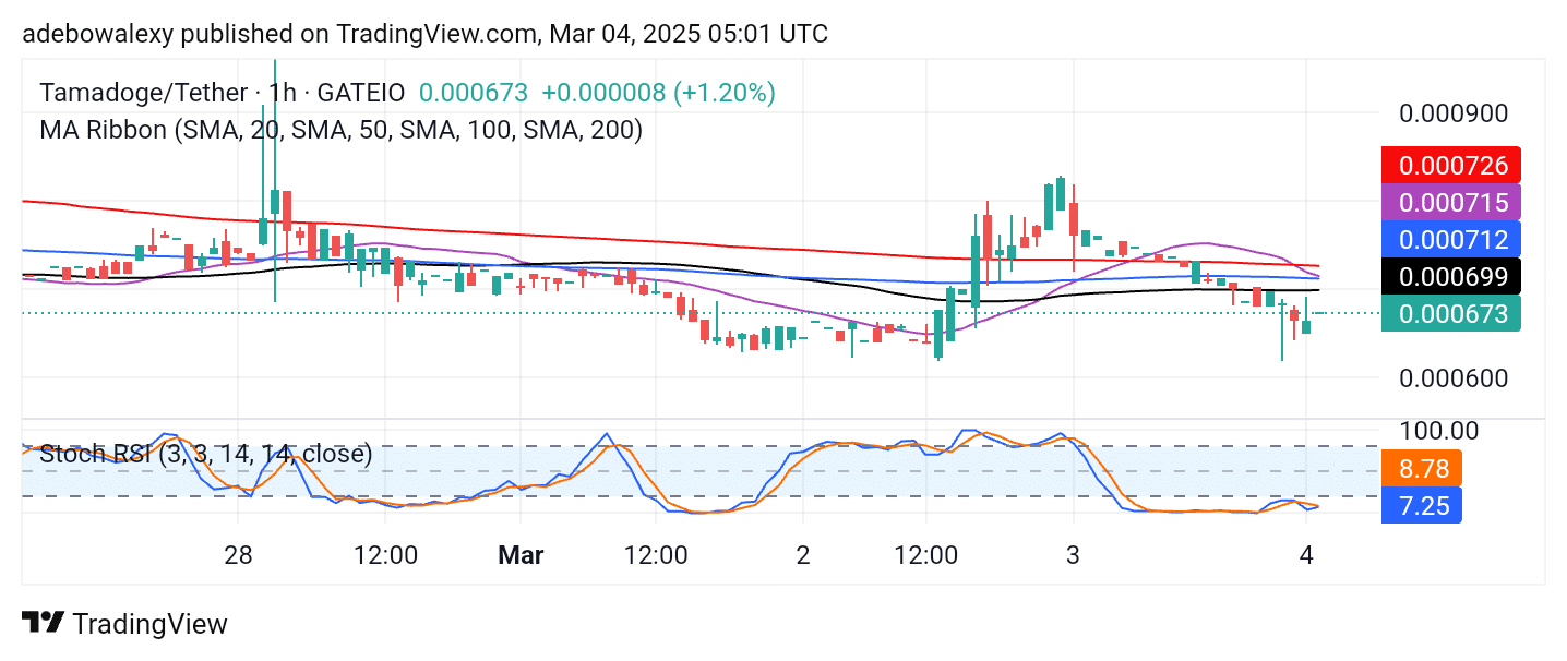 TAMA/USDT Heads Northward Since the previous session, price action in the Tamadoge market has rebounded upward