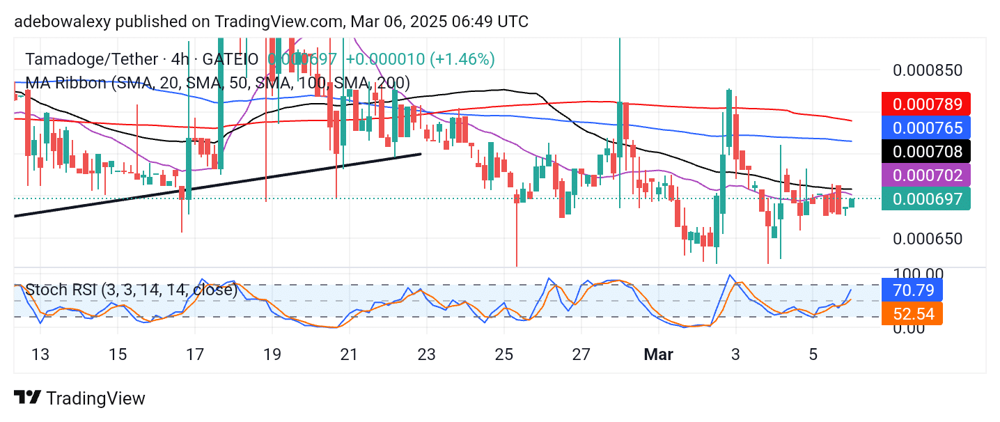 Tamadoge (TAMA) Price Outlook for March 6: Tamadoge Prepares for a Breakout