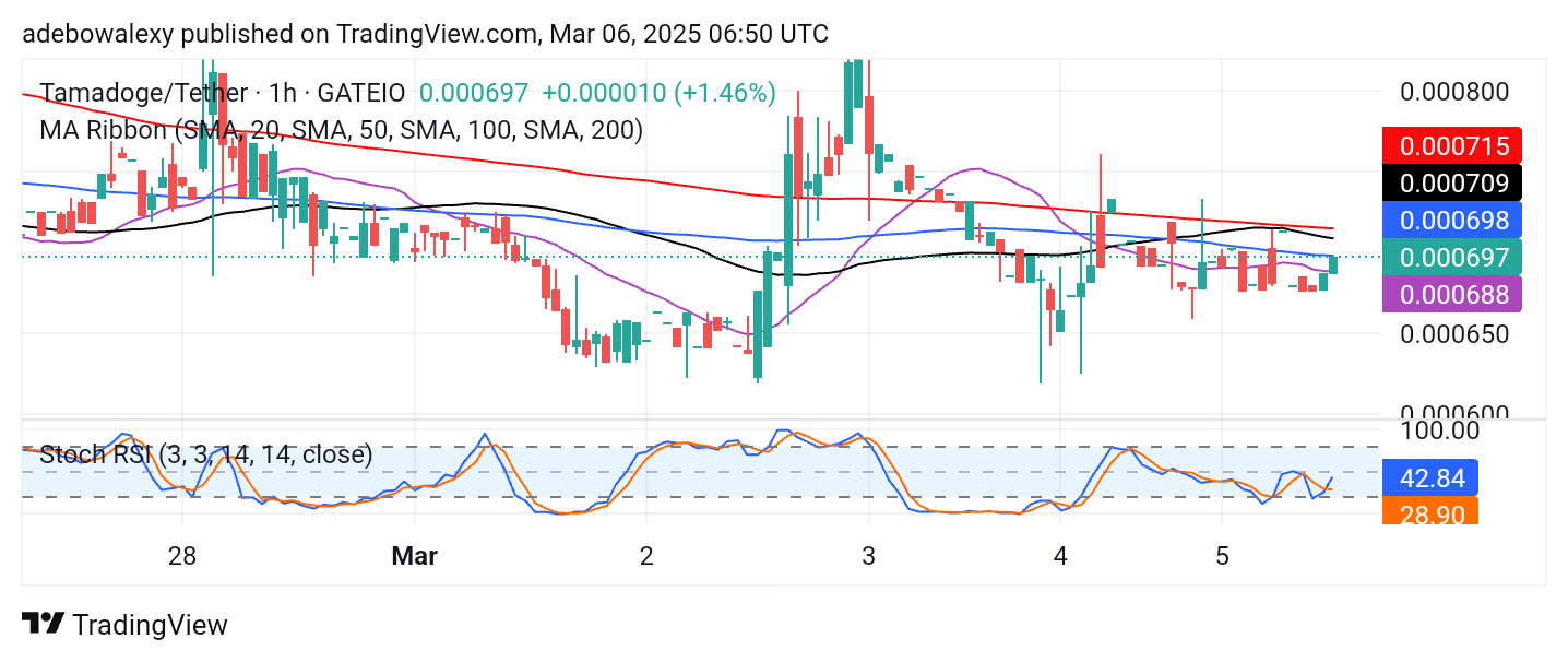 Tamadoge (TAMA) Price Outlook for March 6: Tamadoge Prepares for a Breakout