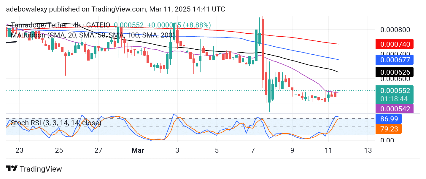 Tamadoge (TAMA) Price Outlook for March 11: Tamadoge Pushes Higher