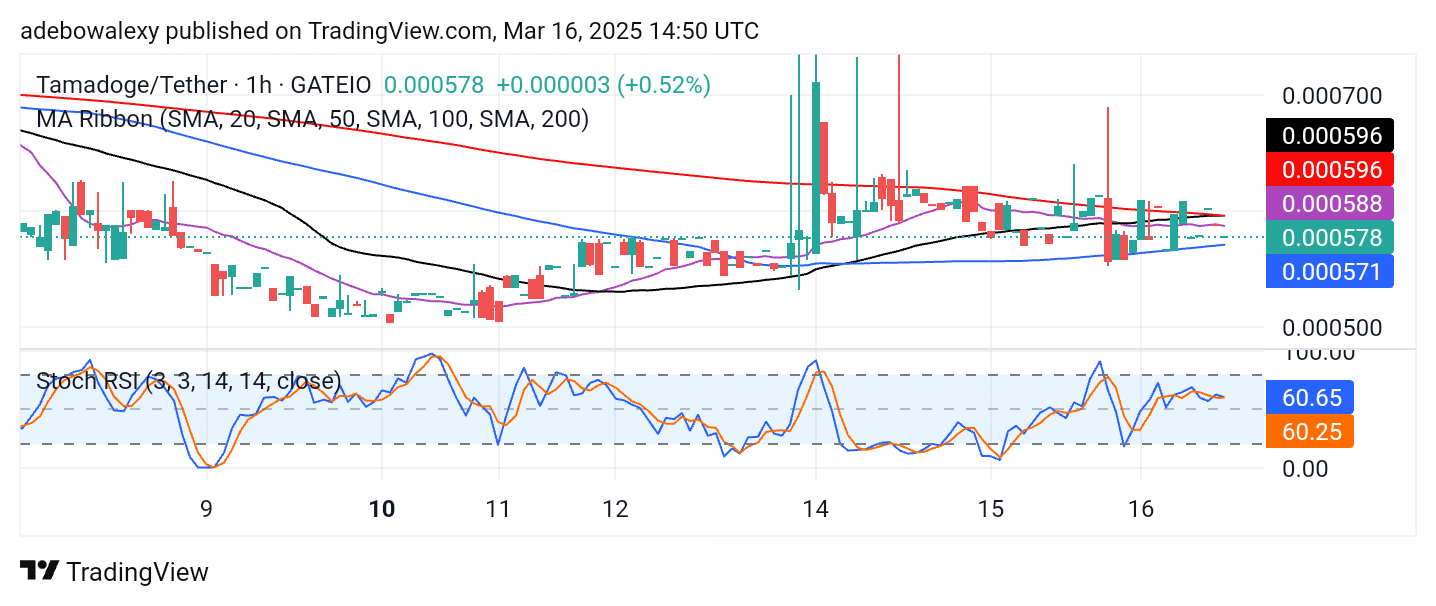 Tamadoge (TAMA) Price Outlook for March 16: Bulls Lock in Target at $0.000600