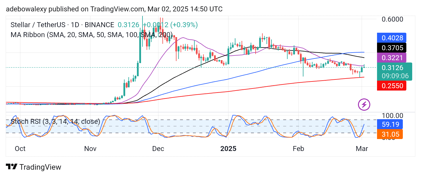 Trending Coins for March 2, 2025: GONE, RUNE, XLM, HBAR, and WHITE