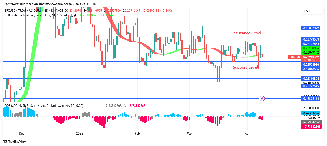 TRON Price May Reach $0.25 Point