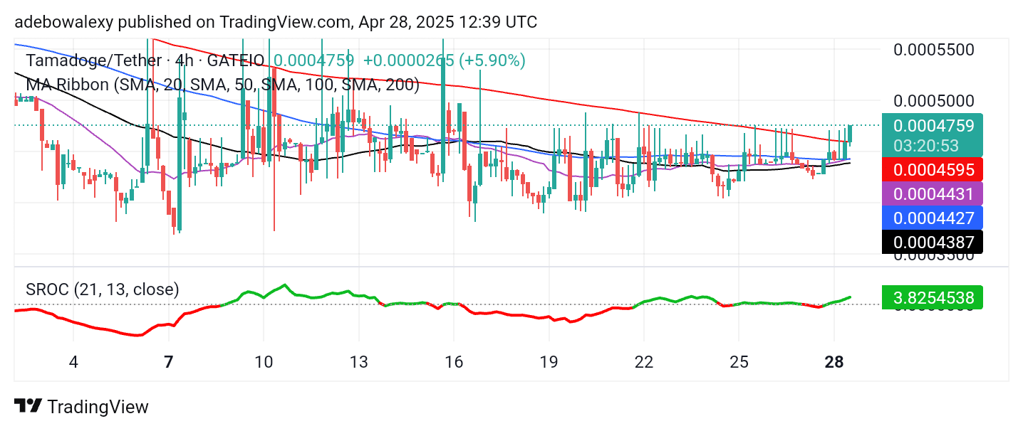 Tamadoge (TAMA) Price Outlook for April 28: TAMA/USDT Accelerates Towards the $0.0005000 Price Mark