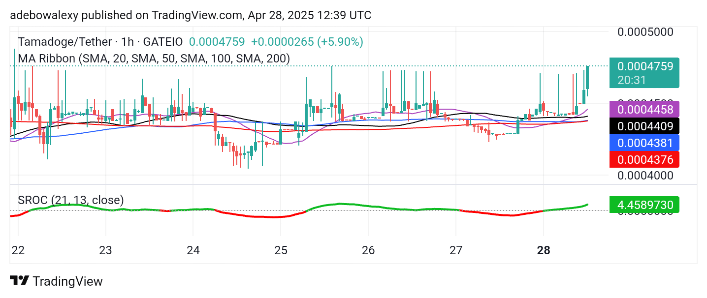 Tamadoge (TAMA) Price Outlook for April 28: TAMA/USDT Accelerates Towards the $0.0005000 Price Mark