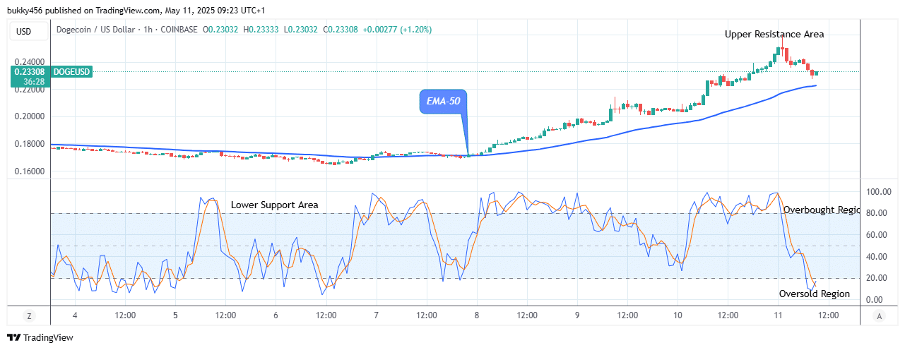 Dogecoin (DOGEUSD) Price to Bounce up to Level $0.251