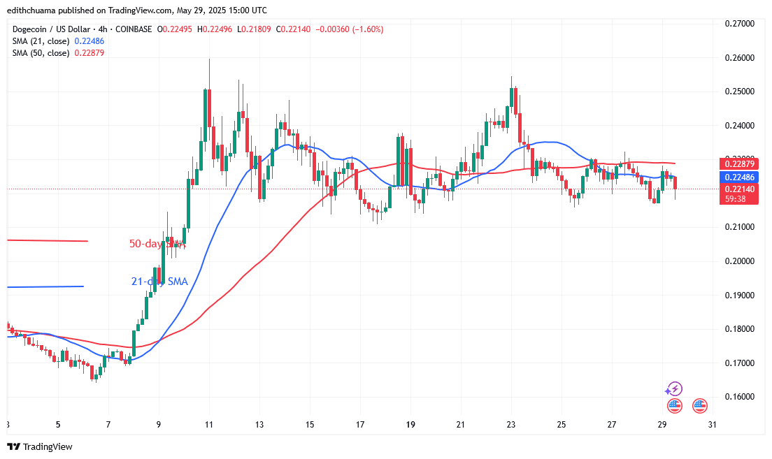 DOGE Resumes Selling Pressure Beneath the $0.22 Level