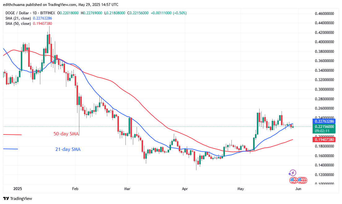 DOGE Resumes Selling Pressure Beneath the $0.22 Level
