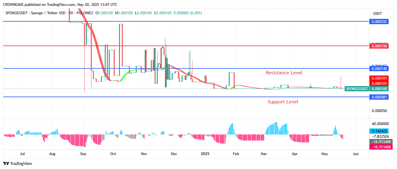 Sponge (SPONGEUSDT) Price Is Lowered to Attract More Invetors