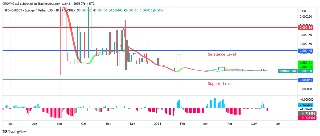 Sponge (SPONGEUSDT) Price Might Rise Above $0.000330 Line