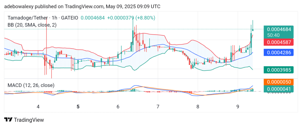 Tamadoge (TAMA) Price Outlook for May 9: TAMA/USDT Sees a Bullish Breakout