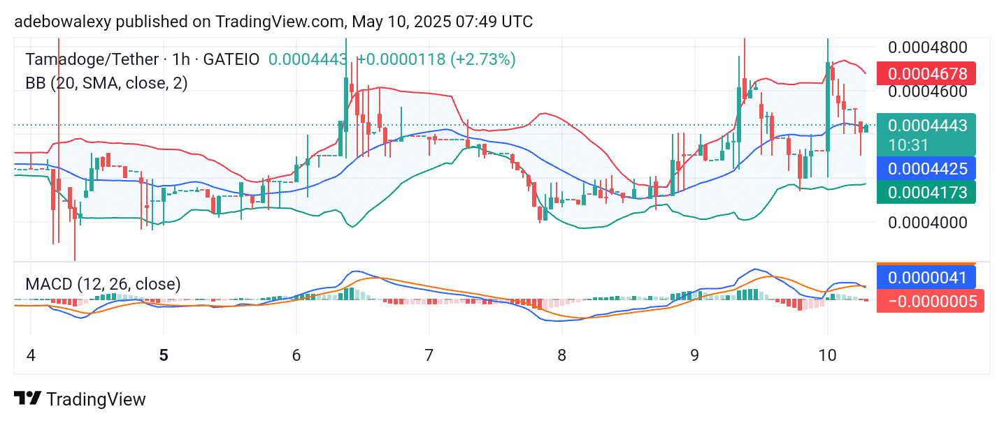 Tamadoge (TAMA) Price Outlook for May 10: TAMA/USDT Resists Significant Setbacks