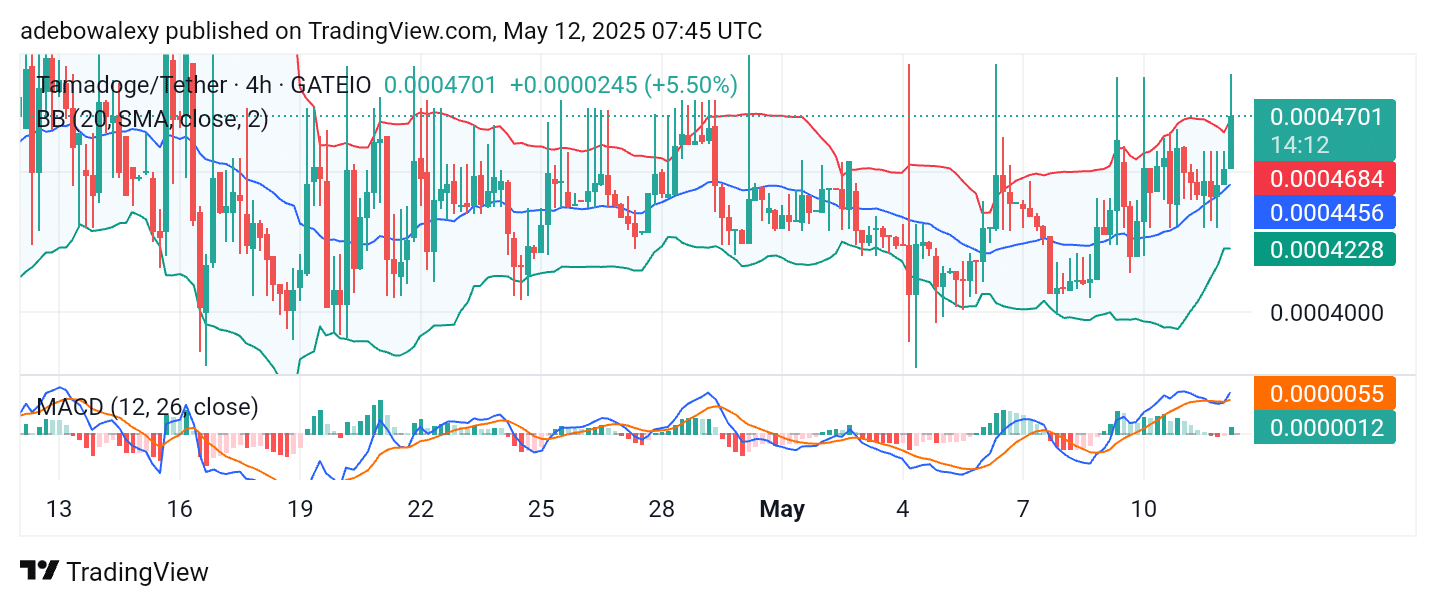 Tamadoge (TAMA) Price Outlook for May 12: TAMA/USDT Pushes Toward the $0.0005000 Mark