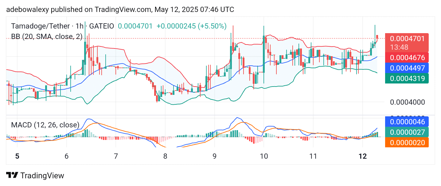 Tamadoge (TAMA) Price Outlook for May 12: TAMA/USDT Pushes Toward the $0.0005000 Mark