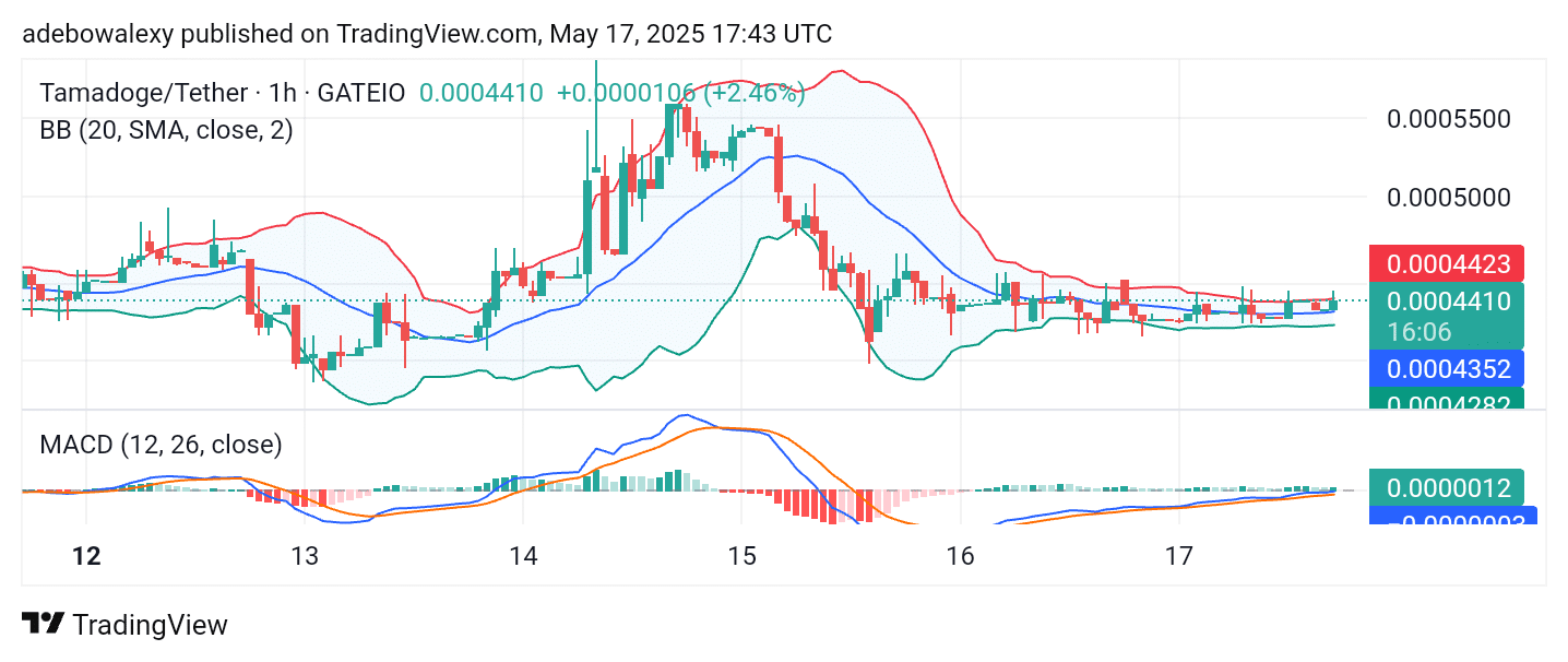 Tamadoge (TAMA) Price Outlook for May 17: TAMA/USDT Takes a Steady Step Back Toward Recovery