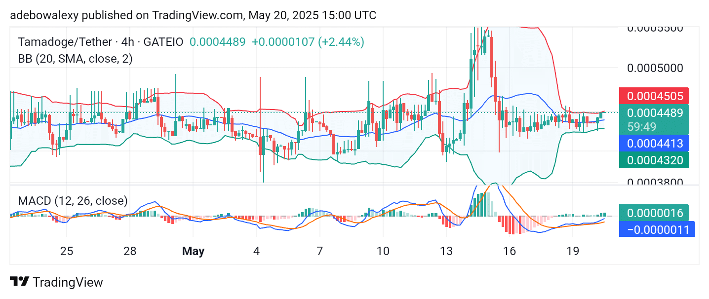 Tamadoge (TAMA) Price Outlook for May 20: TAMA/USDT May Have Begun Another Upside Explosion