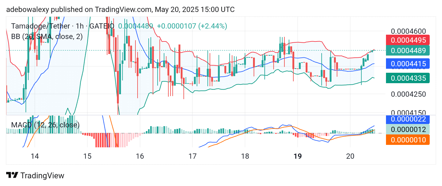 Tamadoge (TAMA) Price Outlook for May 20: TAMA/USDT May Have Begun Another Upside Explosion