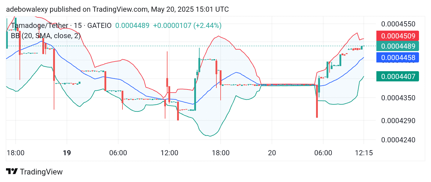 Tamadoge (TAMA) Price Outlook – June 4, 2025: TAMA/USDT Retains a Resilient Stance