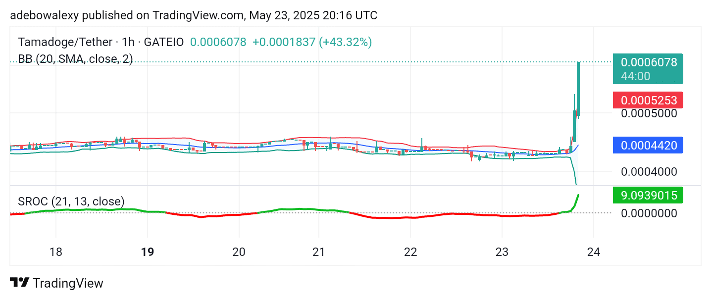 Tamadoge (TAMA) Price Outlook for May 24: TAMA/USDT Is Headed to the Moon