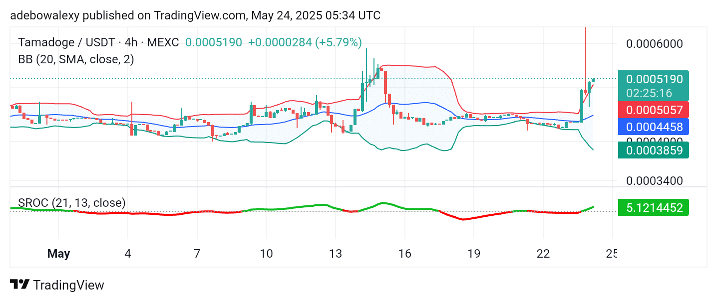 Tamadoge (TAMA) Price Outlook: May 24: TAMA/USDT Approaches Higher Ground Steadily