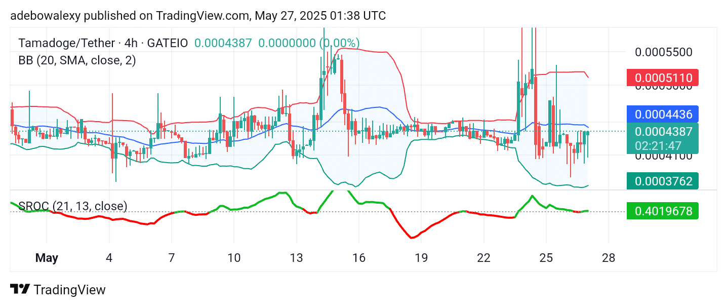 Tamadoge (TAMA) Price Outlook – May 27: TAMA/USDT Recovers From Shock