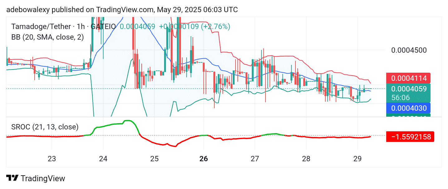 Wall Street Pepe Price Prediction for May 29: WEPE Races Toward the $0.00002000 Price Level
