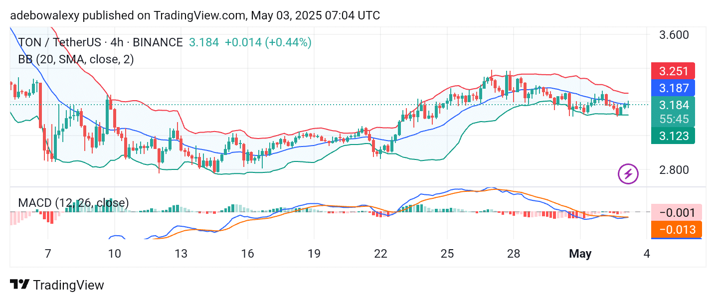 Toncoin (TON) Posts Minimal Intraday Gains Yet
