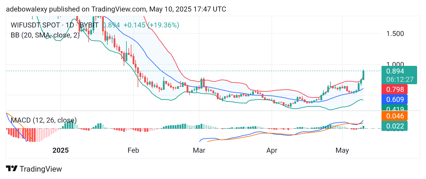 Trending Cryptocurrencies for May 10, 2025: WIF, BabyDoge, MUBARAK, XAI, and BNB