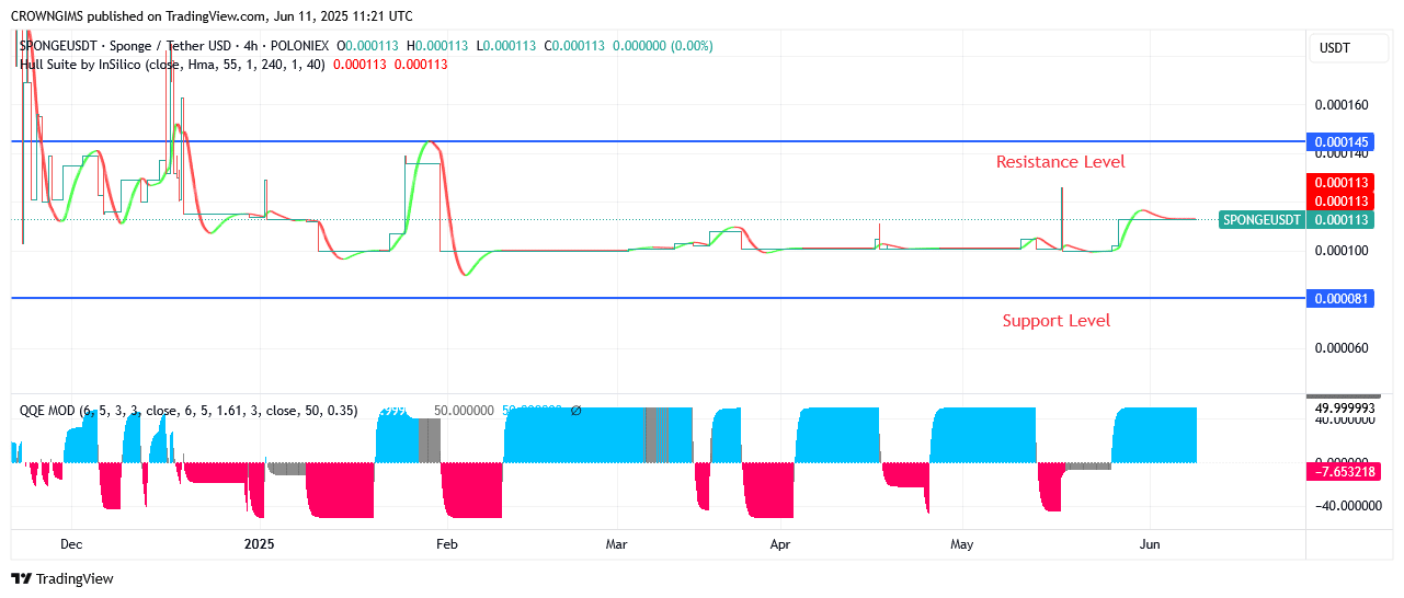 Sponge (SPONGEUSDT): Investors Are Benefiting From Upward Trend