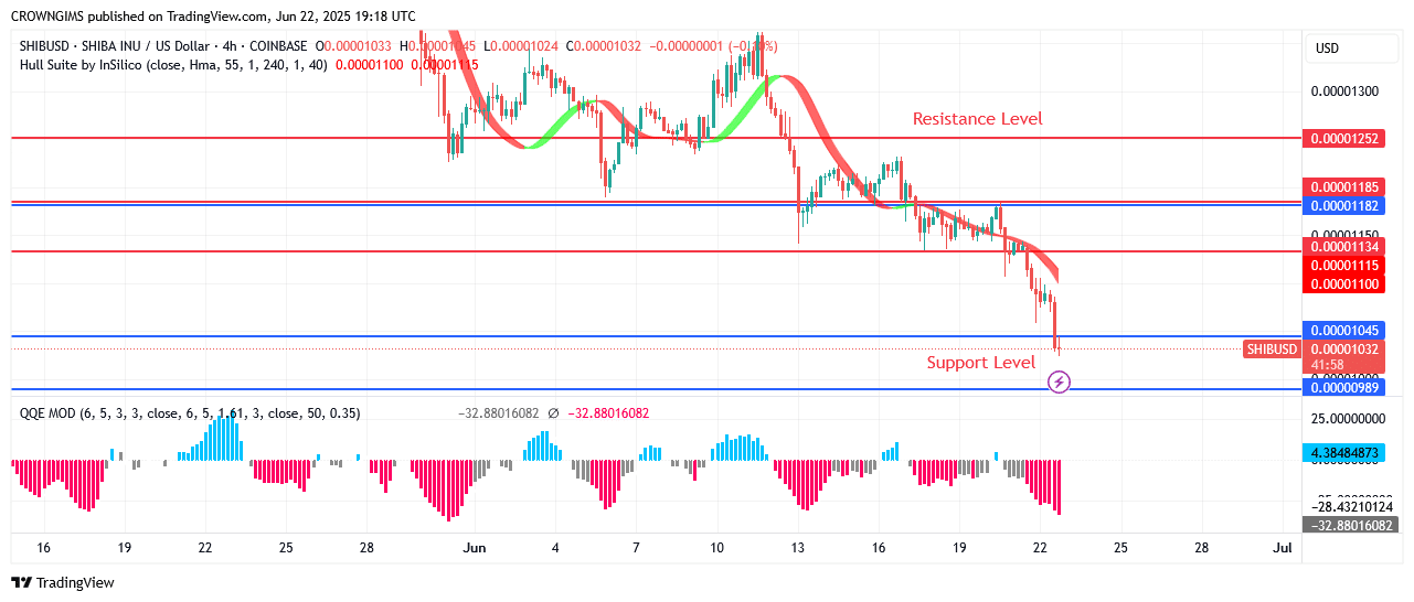Shiba Inu (SHIB) Price: Sellers Intensify Pressure