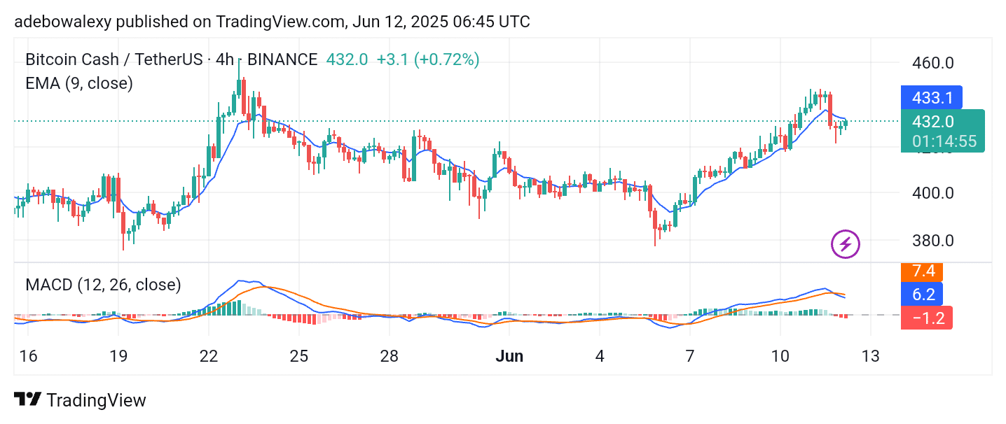Bitcoin Cash (BCH) Continues to Float Upward