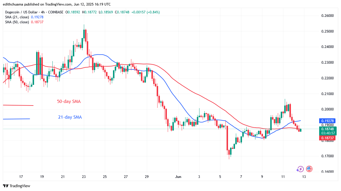 DOGE Fluctuates as It Faces the $0.20 Barrier