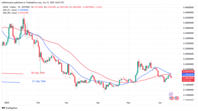 DOGE Fluctuates as It Faces the $0.20 Barrier