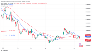 Polkadot’s Value Falls as It Revisits Its $3.20 Low