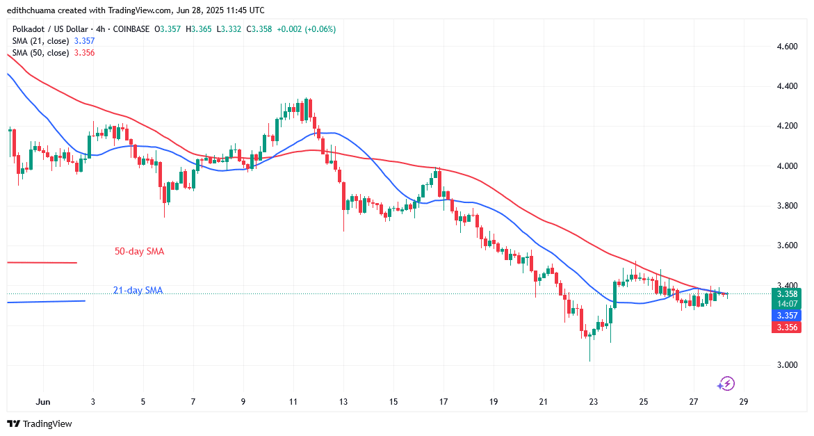 Polkadot Remains Stable Above .00