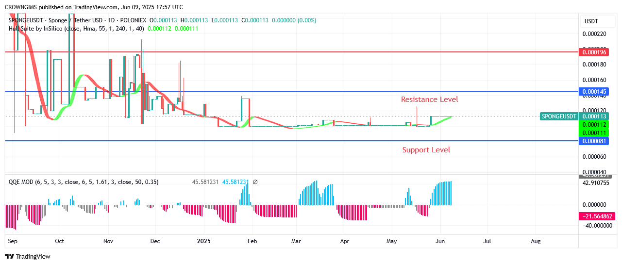 SPONGEUSDT Price: Bulls Are Pushing Harder
