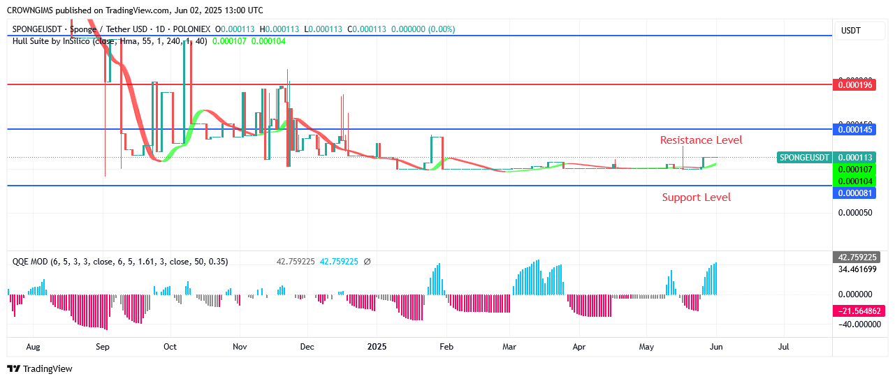 Sponge (SPONGEUSDT) Price Is Heading Towards North