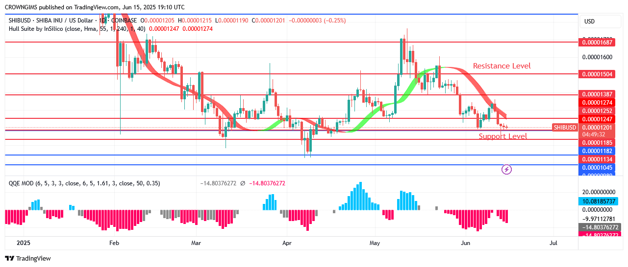 Shiba Inu (SHIB) Price: Will There Be a Further Price Reduction?