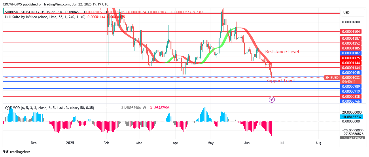 Shiba Inu (SHIB) Price: Sellers Intensify Pressure