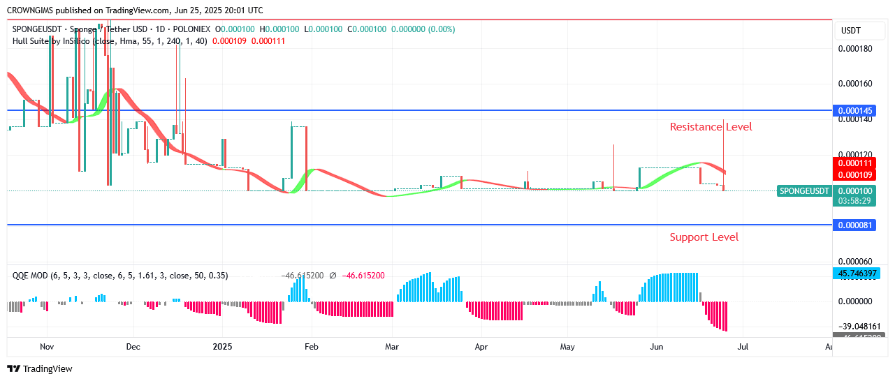 Sponge Price Display Strong Buy Signal