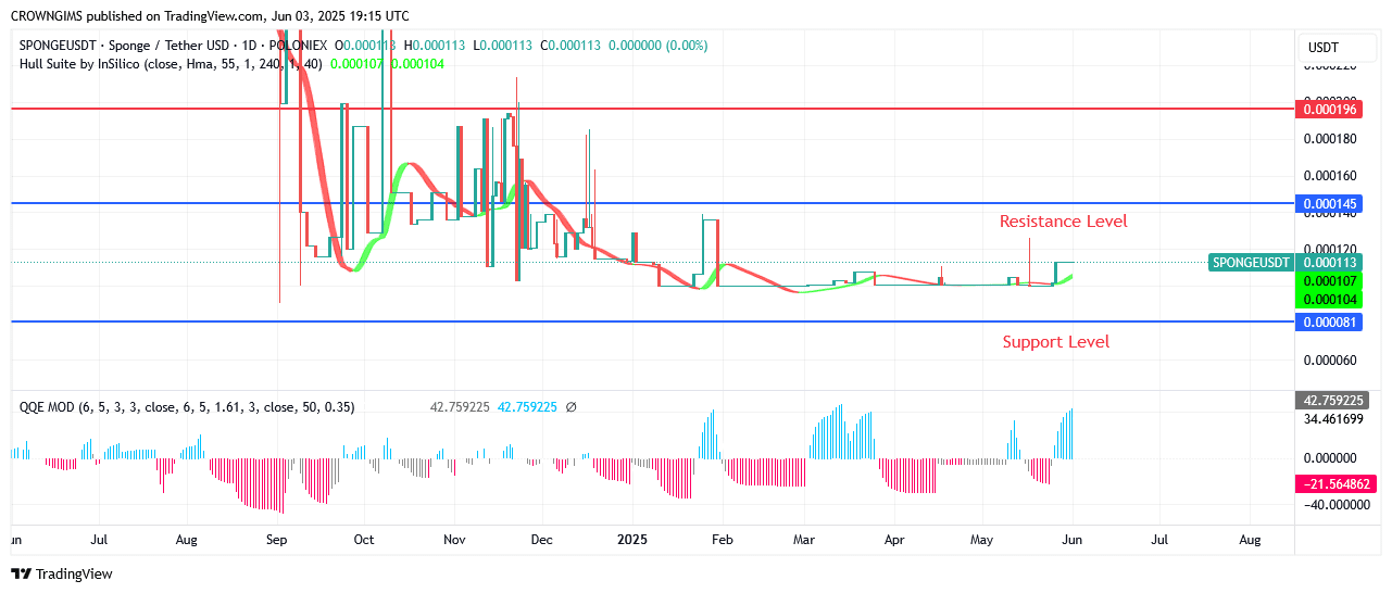 Sponge (SPONGEUSDT) Price May Reach $0.000196 Zone