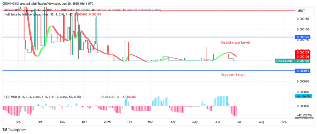 Sponge Price May Double Soon – Expert Analysis & Trading Tips | Learn 2 Trade